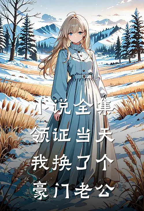 小说全集领证当天，我换了个豪门老公