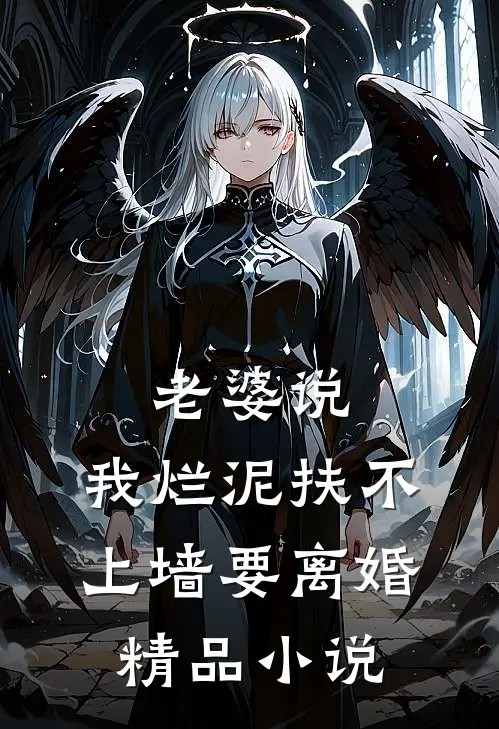 老婆说：我烂泥扶不上墙要离婚精品小说