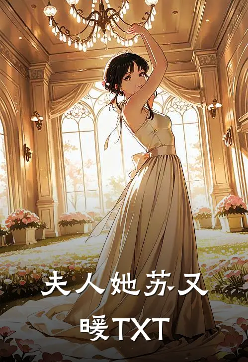 夫人她苏又暖TXT