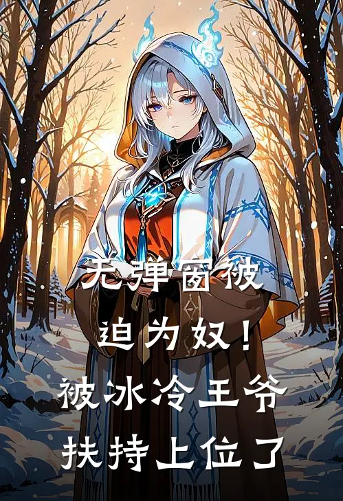 无弹窗被迫为奴！被冰冷王爷扶持上位了