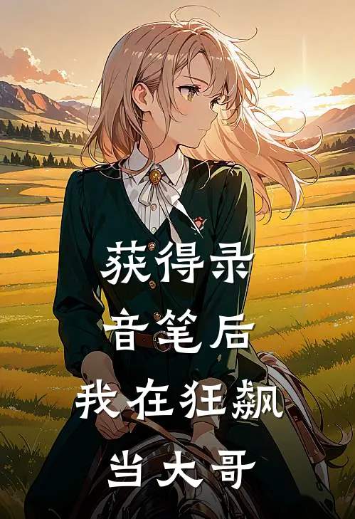 获得录音笔后，我在狂飙当大哥