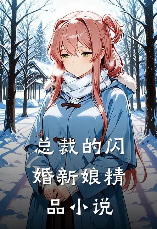 总裁的闪婚新娘精品小说