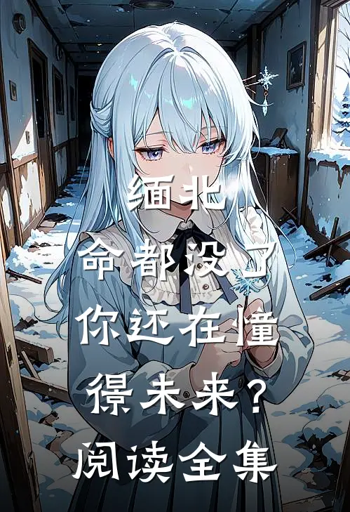 缅北：命都没了，你还在憧憬未来？阅读全集