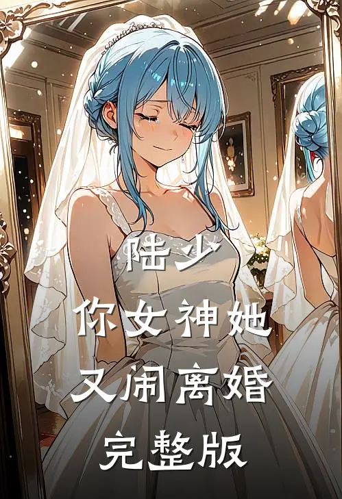 陆少，你女神她又闹离婚完整版