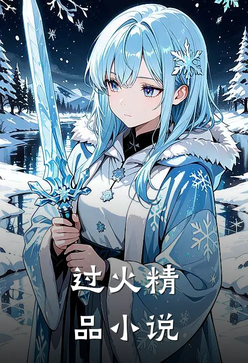 过火精品小说