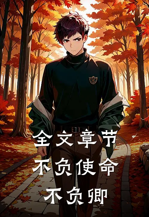 全文章节不负使命不负卿