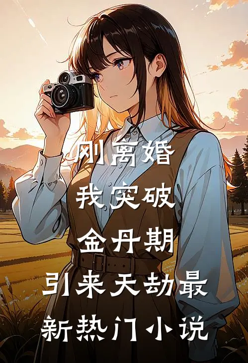 刚离婚，我突破金丹期，引来天劫最新热门小说