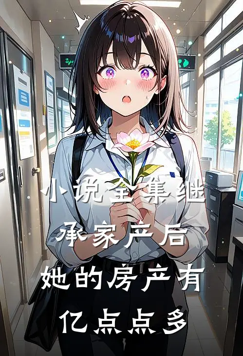 小说全集继承家产后，她的房产有亿点点多