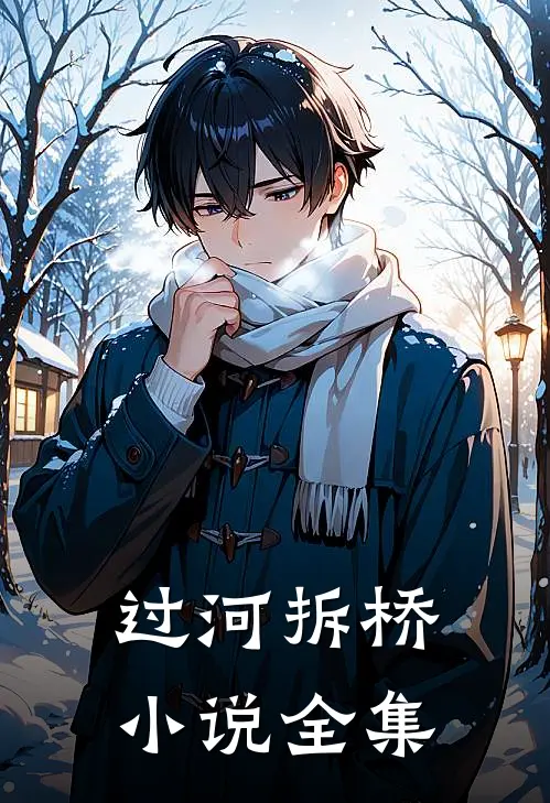 过河拆桥小说全集