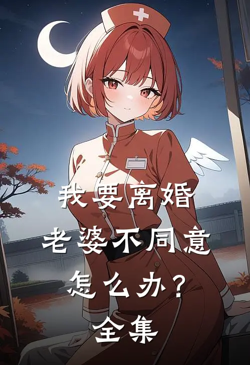 我要离婚，老婆不同意怎么办？全集
