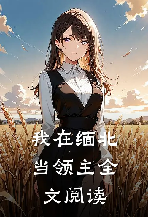 我在缅北当领主全文阅读