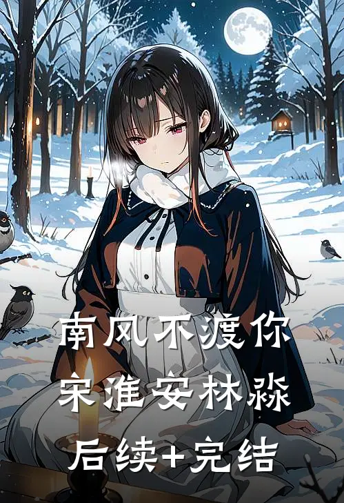 南风不渡你宋淮安林淼后续+完结