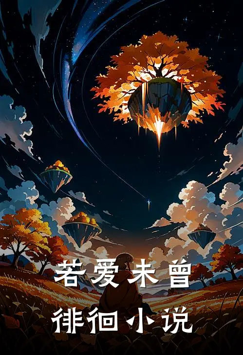 若爱未曾徘徊小说