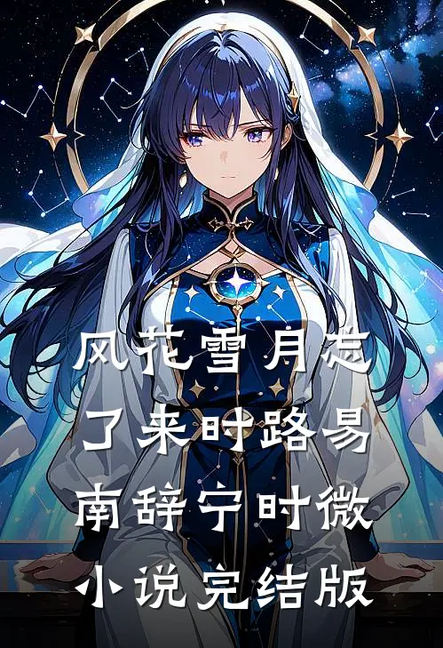风花雪月忘了来时路易南辞宁时微小说完结版