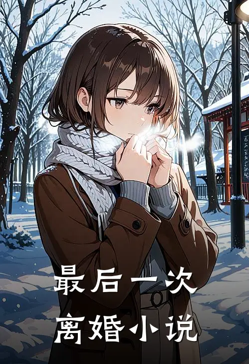 最后一次离婚小说