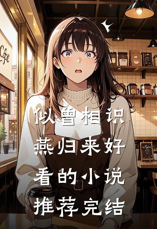 似曾相识燕归来好看的小说推荐完结