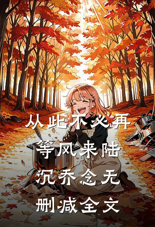 从此不必再等风来陆沉乔念无删减全文