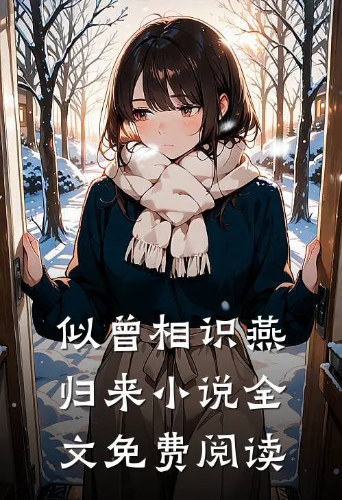 似曾相识燕归来小说全文免费阅读