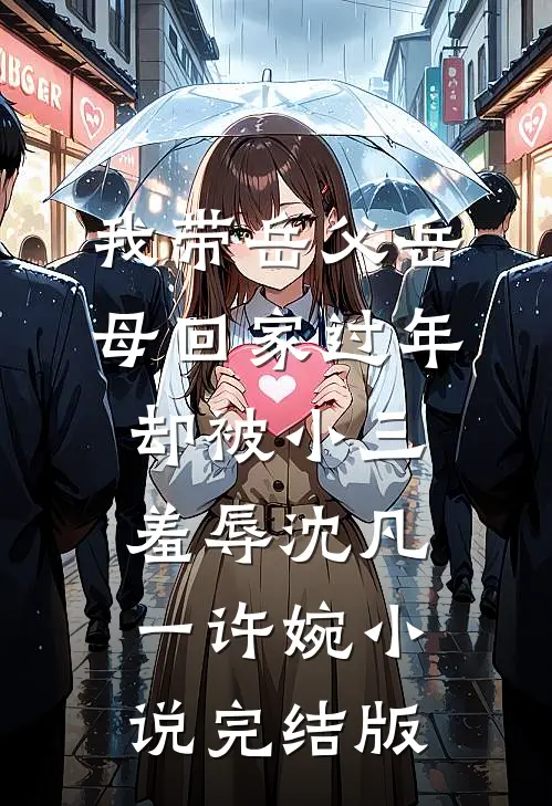 我带岳父岳母回家过年，却被小三羞辱沈凡一许婉小说完结版