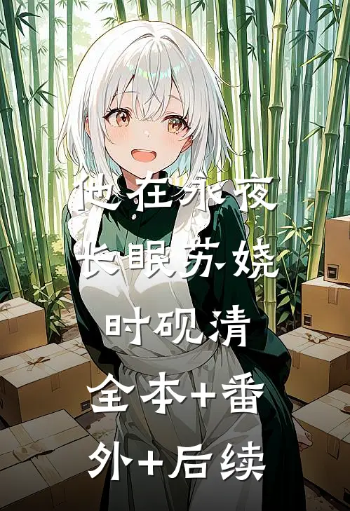 他在永夜长眠苏娆时砚清:全本+番外+后续