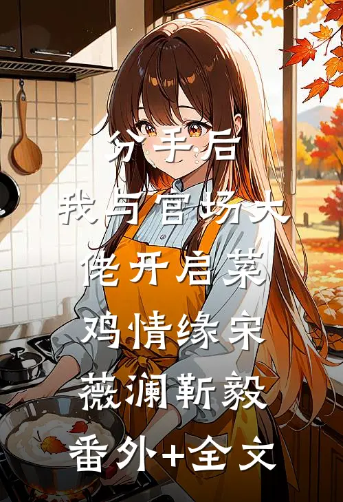 分手后，我与官场大佬开启菜鸡情缘宋薇澜靳毅:(番外)+(全文)