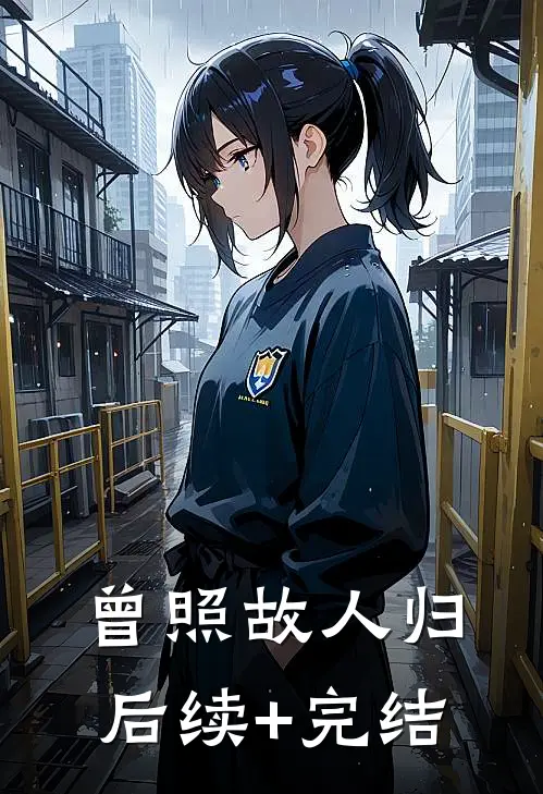 曾照故人归后续+完结