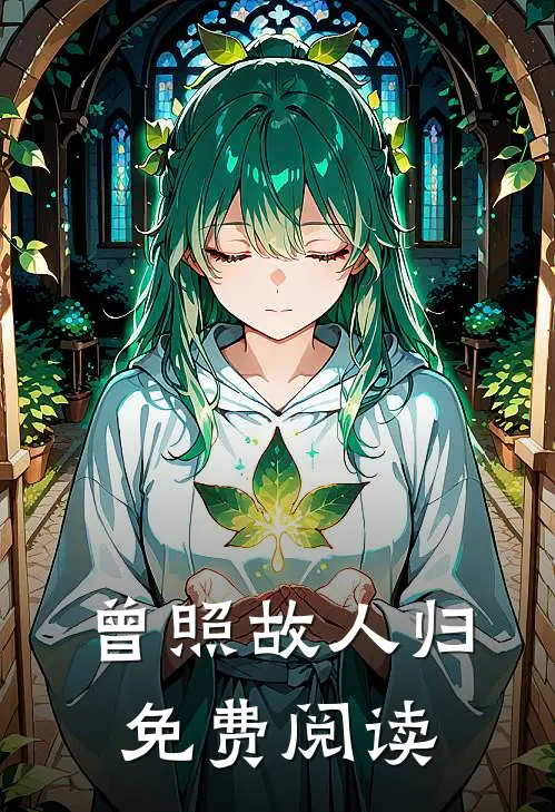 曾照故人归免费阅读
