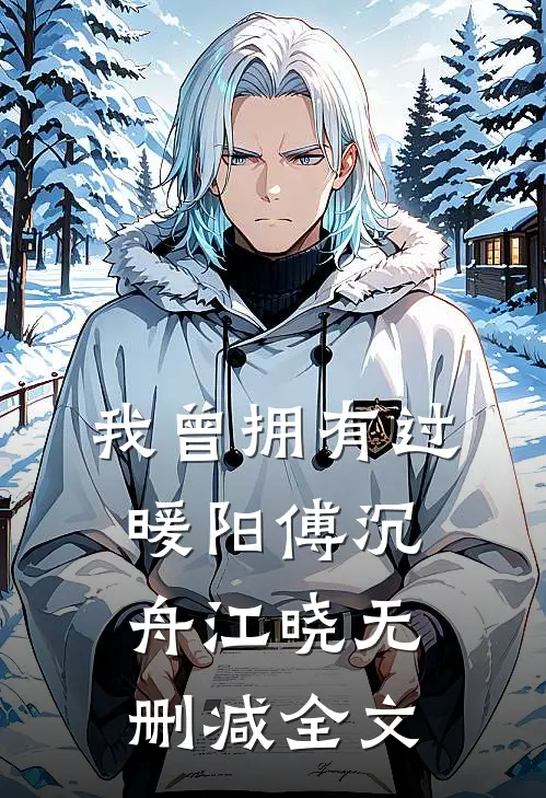 我曾拥有过暖阳傅沉舟江晓无删减全文