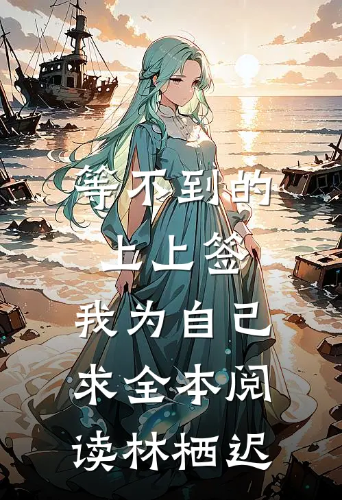 等不到的上上签，我为自己求全本阅读林栖迟