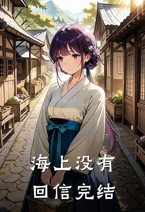 海上没有回信完结