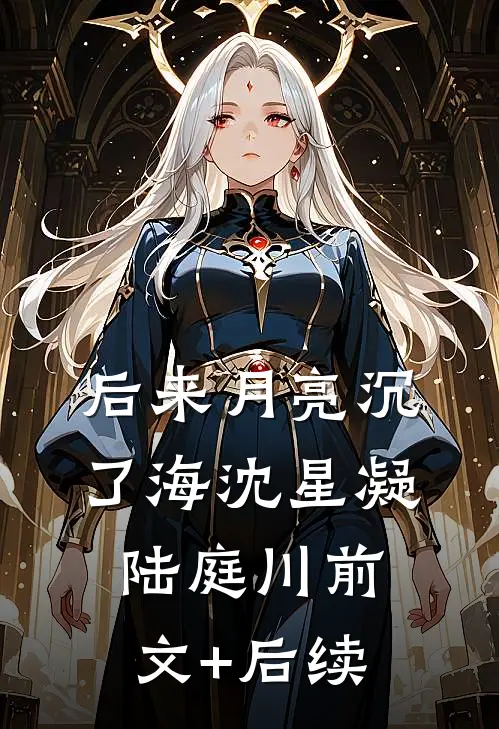后来月亮沉了海沈星凝陆庭川前文+后续