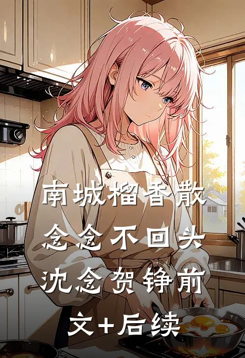 南城榴香散，念念不回头沈念贺铮前文+后续