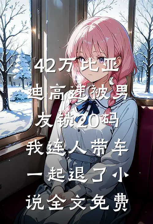 42万比亚迪高速被男友锁20码，我连人带车一起退了小说全文免费