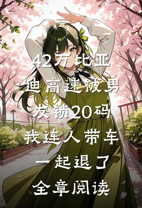 42万比亚迪高速被男友锁20码，我连人带车一起退了全章阅读