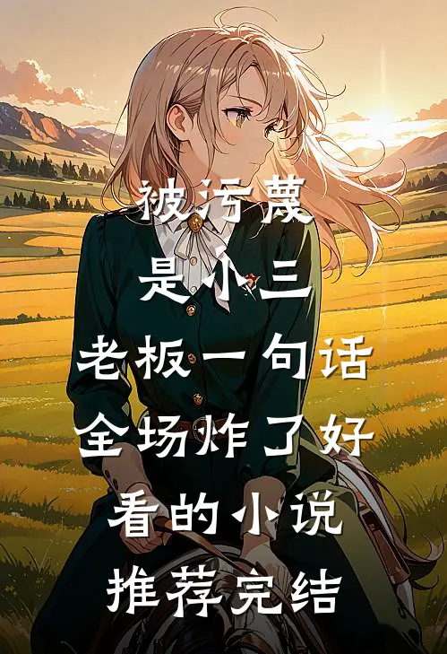 被污蔑是小三，老板一句话全场炸了好看的小说推荐完结