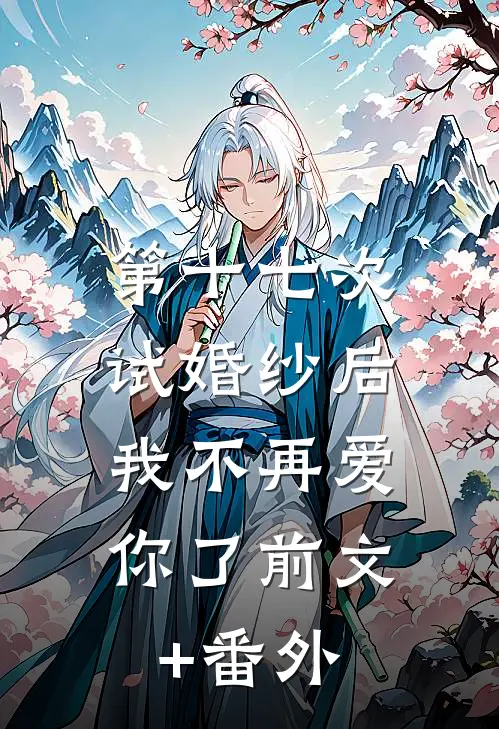 第十七次试婚纱后，我不再爱你了前文+番外