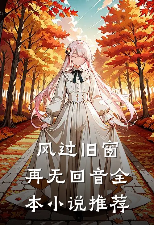 风过旧窗，再无回音全本小说推荐