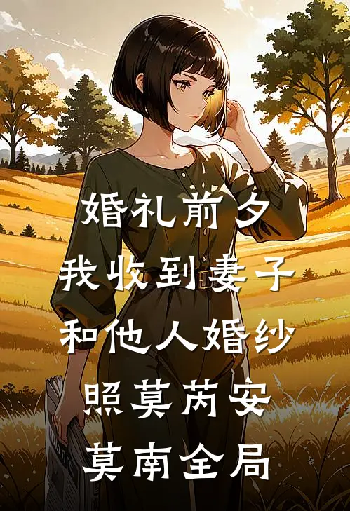 婚礼前夕，我收到妻子和他人婚纱照莫芮安莫南全局