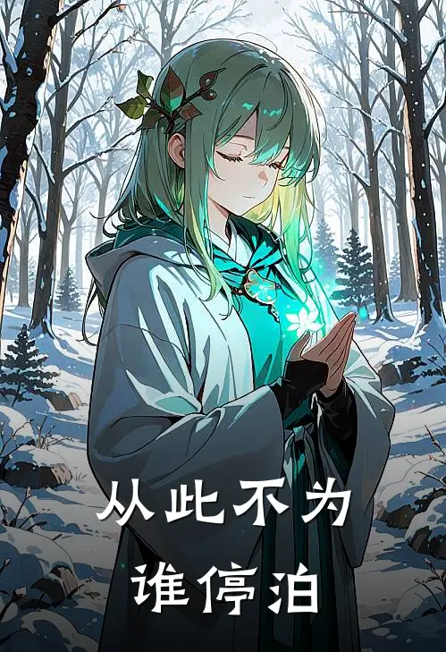 从此不为谁停泊