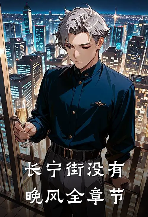 长宁街没有晚风全章节