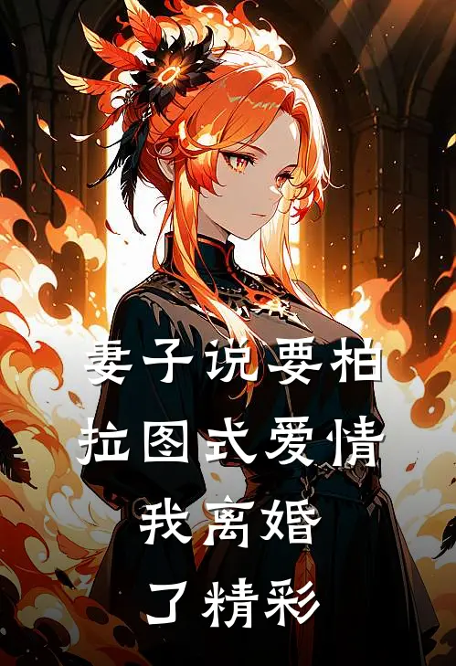 妻子说要柏拉图式爱情，我离婚了精彩