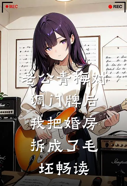 老公青梅对调门牌后，我把婚房拆成了毛坯畅读