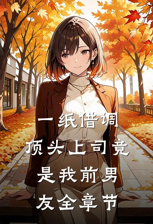 一纸借调，顶头上司竟是我前男友全章节