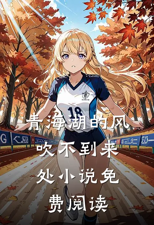 青海湖的风，吹不到来处小说免费阅读