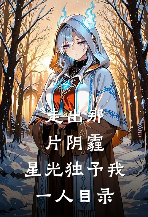 走出那片阴霾，星光独予我一人目录