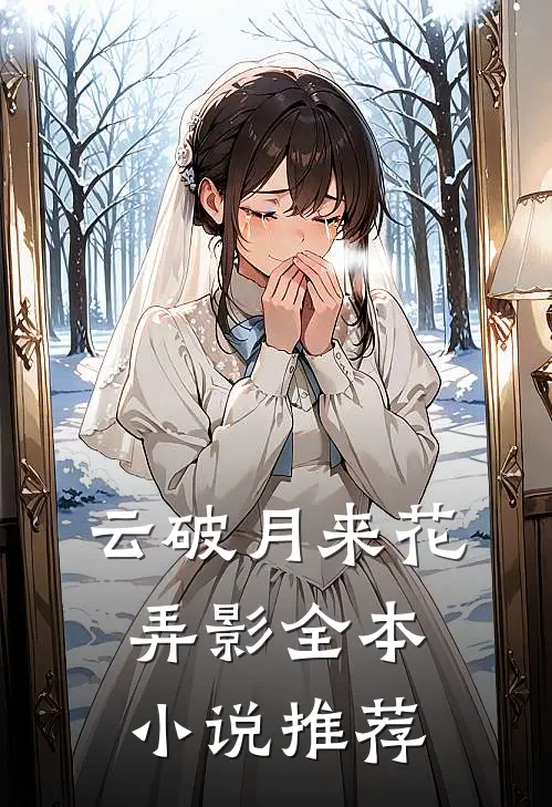 云破月来花弄影全本小说推荐