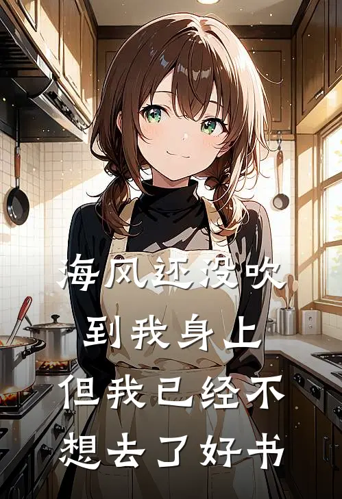 海风还没吹到我身上，但我已经不想去了好书