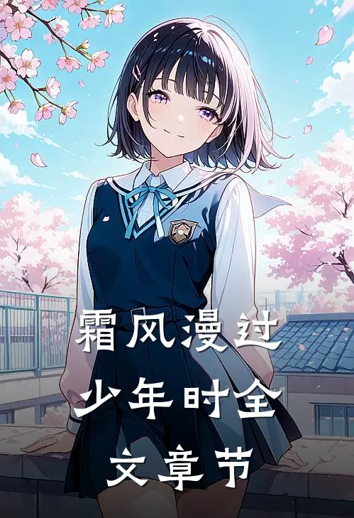 霜风漫过少年时全文章节
