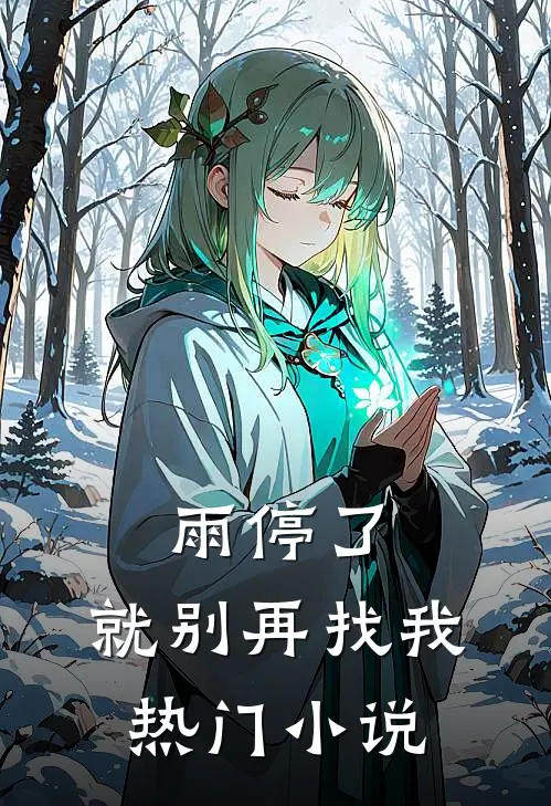 雨停了，就别再找我热门小说