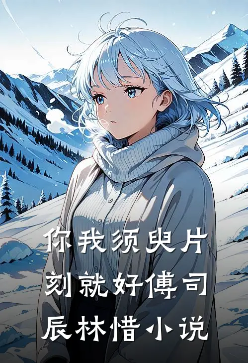你我须臾片刻就好傅司辰林惜小说